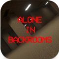 Alone In Backrooms中文版